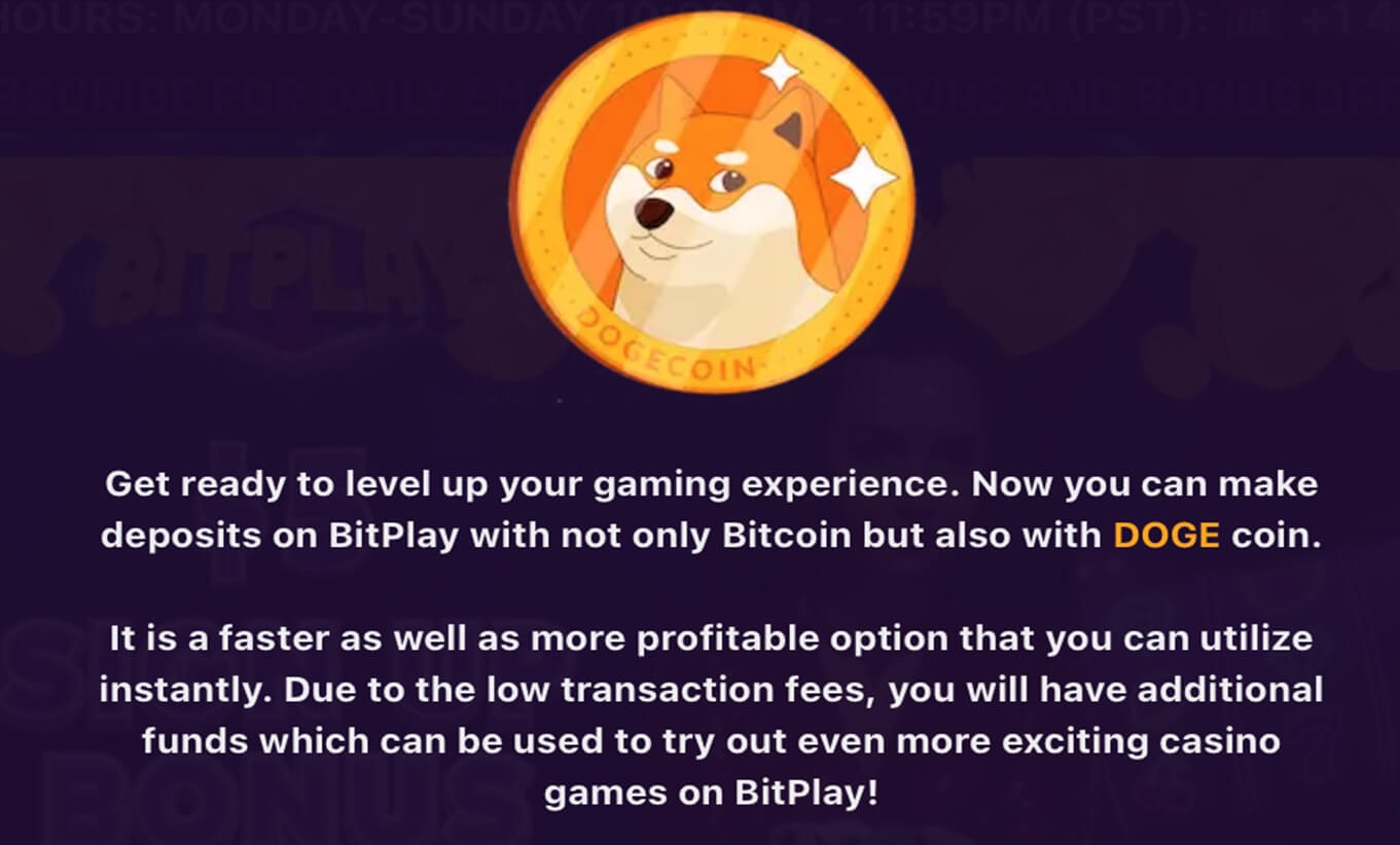 BitPlay DogeCoin Payment
